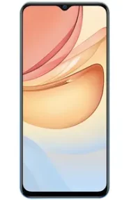 A picture of the vivo Y53s smartphone